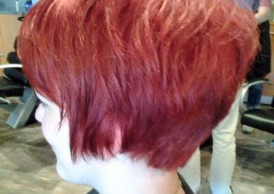 Cut and Color by Lisa